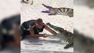 Crocodile bites man's arm!
