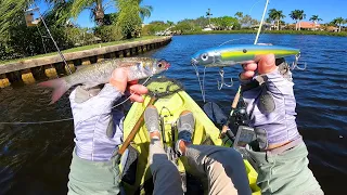 This LIVE BAIT and LURE Get Smoked - Solo Florida Inshore Kayak Fishing