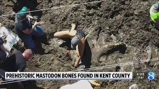 Kent County road crews discover Mastodon bones