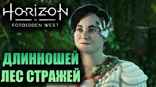 СЕМЕНА ПРОШЛОГО ▶ Horizon Forbidden West ( Запретный Запад ) PS5 Прохождение без комментариев