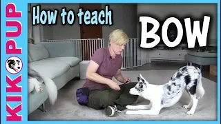 How to teach BOW  - Dog Tricks tutorial