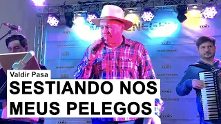 Valdir Pasa - Sestiando Nos Meus Pelegos (Ao Vivo em Nova Mutum)