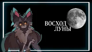 ➛ Коты Воители - Восход Луны | в двух словах | второй цикл