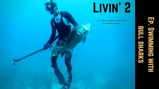 Spearfishing with Bull Sharks in the Florida Keys