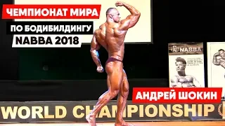 Андрей Шокин: Чемпионат Мира по бодибилдингу (Nabba) 2018