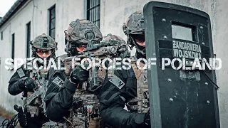 Polish Special Forces - 2020 - Polskie Siły Specjalne