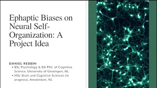Ephaptic Biases on Neural Self-Organization