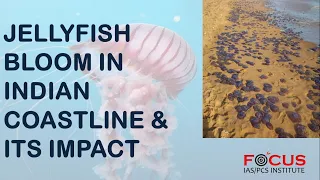 IAS PCS- Important News- LECTURE 3- Jellyfish bloom in Indian Coastline & its Impact