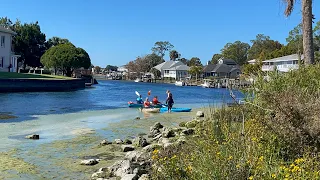 Crystal River Is Florida’s Hidden Paradise