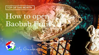 How to open baobab fruit | My Gambia | My Magazine