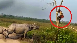 10 Wild Animal Encounters Caught on Camera