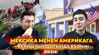 Америкада шаурма 🌯 жасап канча $$$ тапса болот?