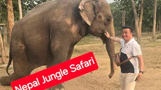 Nepal Diaries Day 3: Elephant Ride/Jungle Safari