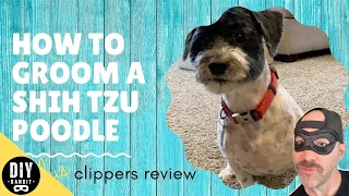 🐶 How to Groom Your **Shih-Poo / Shih Tzu Poodle**➔ at Home  (DIY Tutorial Haircut)