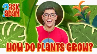 ASK ADAM  - How Do Plants Grow? Fun Learning for Kids