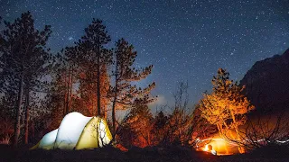 Relaksujące Dźwięki Lasu - Dźwięk Ogniska - Las Nocą - Odgłosy Sowy