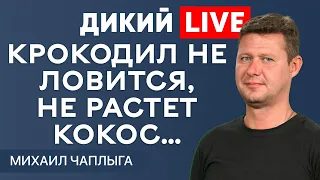 Достаточно одной таблетки! @MIHACHAPLYGA. Дикий LIVE.