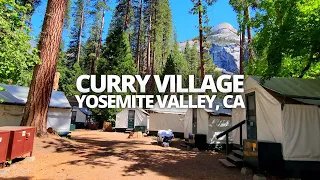 Exploring Curry Village in Yosemite Valley, California USA Walking Tour #curryvillage #yosemite