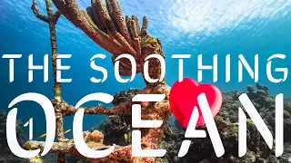 The Soothing Ocean | 1 Hour 4K Underwater Video with Soothing Stylefor Relaxation or Stress Relief