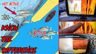 Finding Active or Feeding Fish | Bass Fishing Sonar Basics