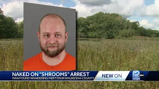 Naked man on 'shrooms' arrested in Merton