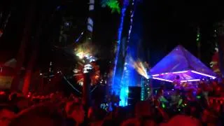 Shambhala 2011 - A.Skillz' intro in Fractal Forest on Saturday Night