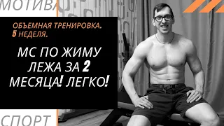 МС по жиму лежа за 2 месяца! ЛЕГКО! Объемная тренировка. 5 неделя.