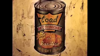 Good Intentions - Toad the Wet Sprocket (HQ)