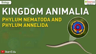 Kingdom Animalia: Phylum Nematoda and Phylum Annelida | Biology | iKen | iKen Edu | iKen App