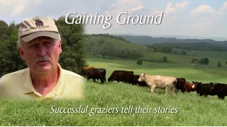 Gaining Ground: Successful Graziers Tell Their Stories