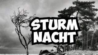 STURMNACHT #krimihörspiel  #retro    mit JUDY WINTER  JOACHIM HANSEN 1967