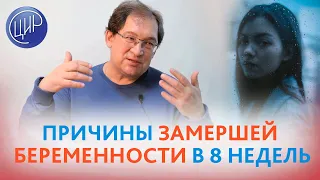 Замершая беременность в 8 недель. Почему могла остановиться беременность в 8 недель. Гузов И.И.