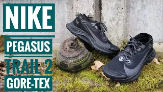 Непромокаемые кроссовки для бега в любую погоду. Обзор новинки Nike Pegasus Trail 2 Gore-Tex.