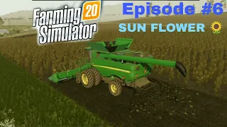 Harvesting SUN FLOWER 🌻🌻 in fs 20 Episode #6 Timelapse