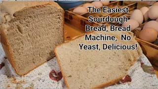 The Easiest Sourdough Sandwich Bread, No Yeast,  Bread Machine