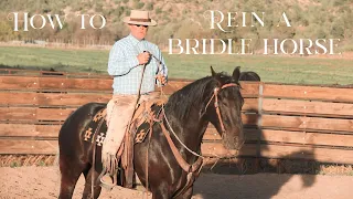 How to Rein a Bridle Horse in the Traditional Reins & Romal