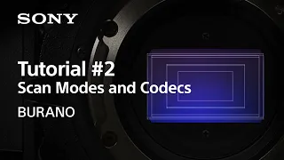 Tutorial #2 | Scan Modes and Codecs | BURANO | Sony | CineAlta