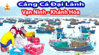 Cảnh Đẹp Tuyệt Vời Ở Cảng Cá Đại Lãnh - Huyện Vạn Ninh  - Tỉnh Khánh Hòa