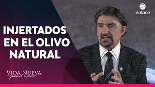 Dr. Armando Alducin - Caos en el Medio Oriente - Enlace TV