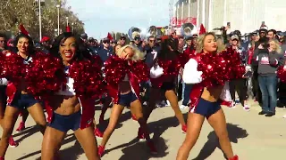 Texans Cheerleaders 2023 #14