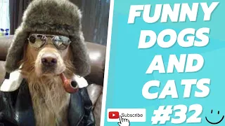 Funny Animal Videos 2022  Best Dogs And Cats Videos 😺😍 # 32