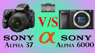 Sony Alpha 37 vs Sony Alpha 6000
