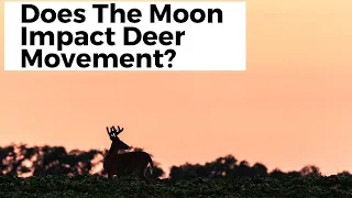 Does the Moon Impact Whitetail Deer Movement? John Eberhart, Justin Hollandsworth & More!