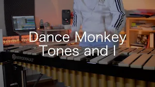 Dance Monkey | Tones and I | Percussion cover