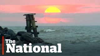Deepwater Horizon disaster, five years later