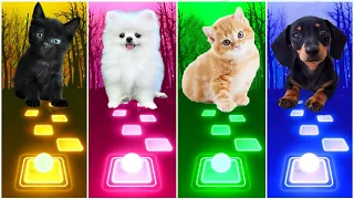 CUTE CATS vs CUTE PUPPY | BABY SHARK - SHAKIRA WAKA WAKA BONGO CAT vs DOG Tiles Hop EDM Rush!