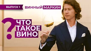 ВИННЫЙ МАРКИН | Выпуск 1. ЧТО ТАКОЕ ВИНО