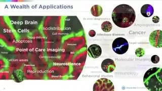 Webinar: Cellvizio Lab for preclinical research