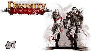 Divinity: Original Sin | Multiplayer Co-op | Part 1 | Creation & Tutorial