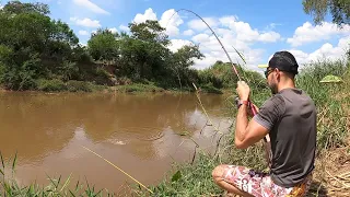 PIAPARA, PIAU,CURIMBA MUITO PEIXE NO RIO CORUMBATAÍ- #pescaria #fishing #fish